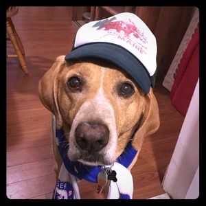 Bundle offers welcome!